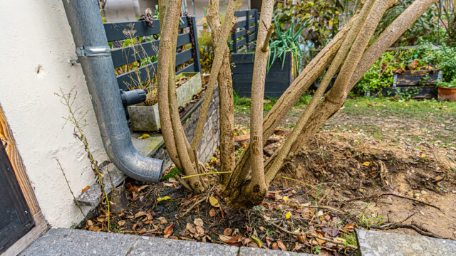 lencro_gartenbau_projekt_gewinnspiel_gala_bau_garten-05
