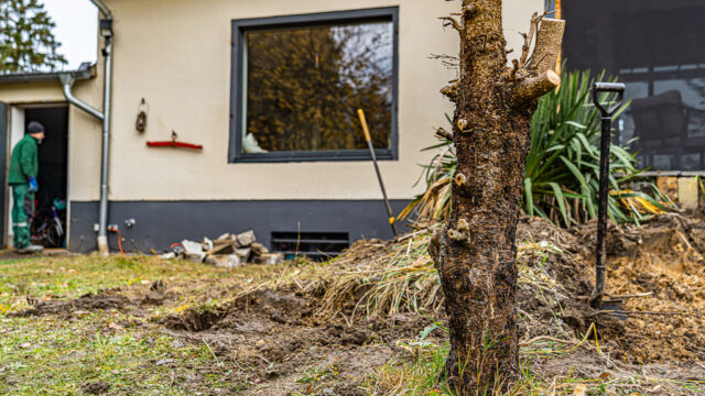 lencro_gartenbau_projekt_gewinnspiel_gala_bau_garten-09