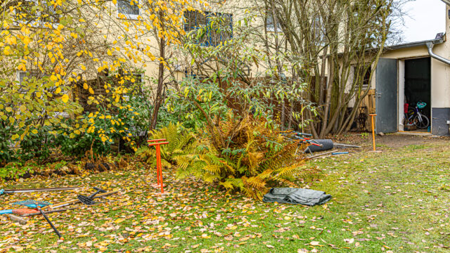 lencro_gartenbau_projekt_gewinnspiel_gala_bau_garten-13