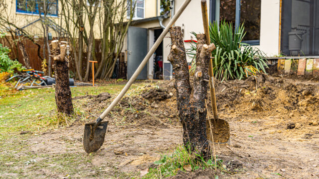 lencro_gartenbau_projekt_gewinnspiel_gala_bau_garten-21
