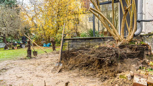 lencro_gartenbau_projekt_gewinnspiel_gala_bau_garten-22