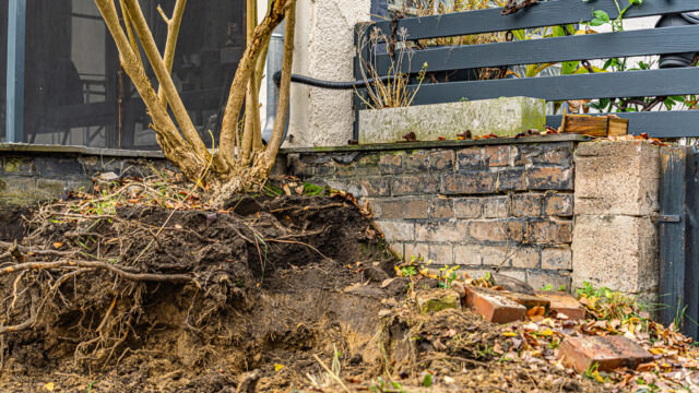 lencro_gartenbau_projekt_gewinnspiel_gala_bau_garten-23