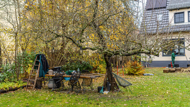lencro_gartenbau_projekt_gewinnspiel_gala_bau_garten-31