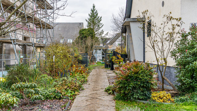 lencro_gartenbau_projekt_gewinnspiel_gala_bau_garten-34
