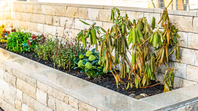 lencro_gartenbau_terrasse_garten_gartenideen-26 lencro_gartenbau_terrasse_garten_gartenideen-26