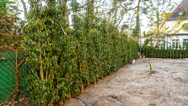 lencro_projekt_stadtvilla_garten_gala-46