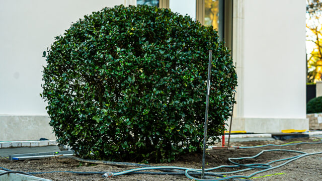 lencro_projekt_stadtvilla_garten_gala-54