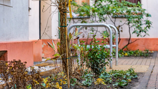 lencro_gartenbau_gala_bau_projekt_wohnlicher_mietergarten-11