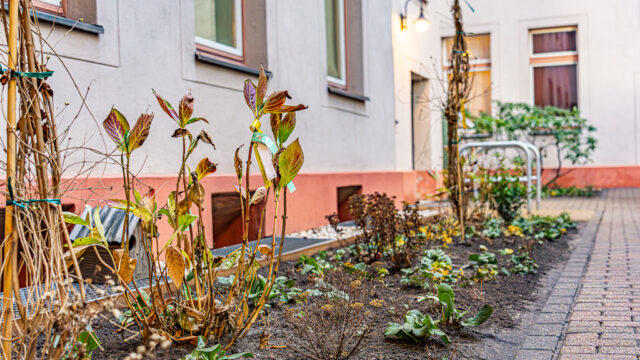 lencro_gartenbau_gala_bau_projekt_wohnlicher_mietergarten-12