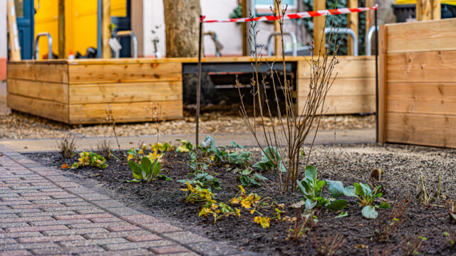 lencro_gartenbau_gala_bau_projekt_wohnlicher_mietergarten-16