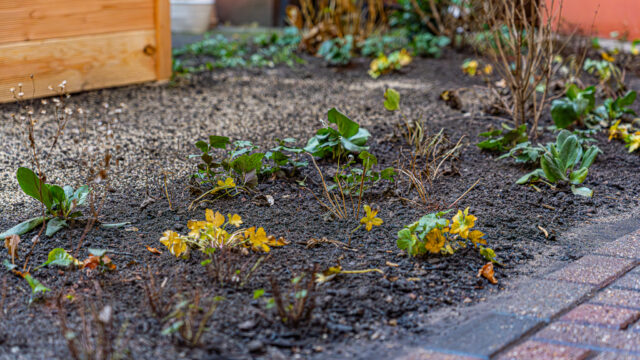 lencro_gartenbau_gala_bau_projekt_wohnlicher_mietergarten-20