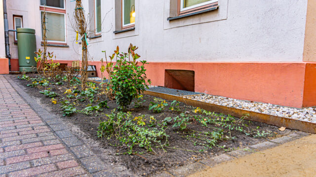 lencro_gartenbau_gala_bau_projekt_wohnlicher_mietergarten-22