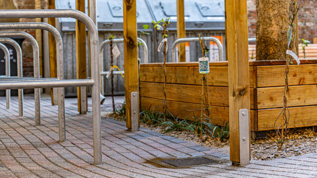 lencro_gartenbau_gala_bau_projekt_wohnlicher_mietergarten-25