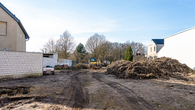 lencro_gartenbau_garten_teichgarten