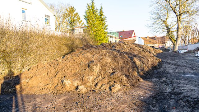 lencro_gartenbau_garten_teichgarten-11