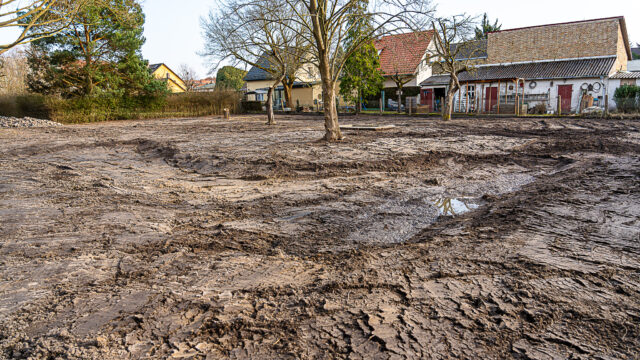 lencro_gartenbau_garten_teichgarten-12
