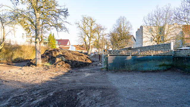 lencro_gartenbau_garten_teichgarten-14