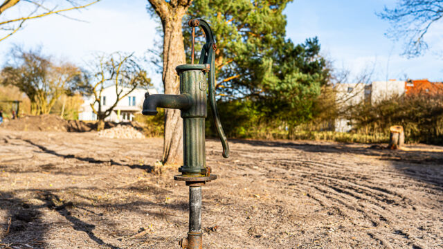 lencro_gartenbau_garten_teichgarten-16
