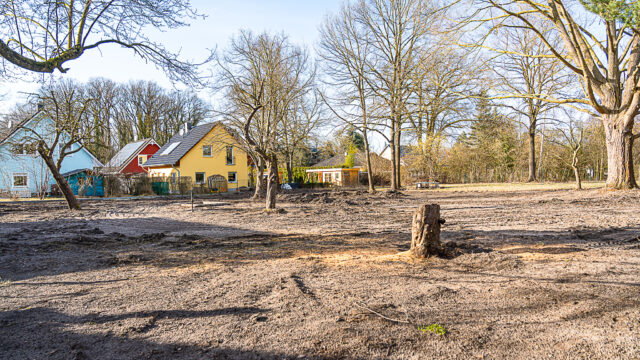 lencro_gartenbau_garten_teichgarten-19
