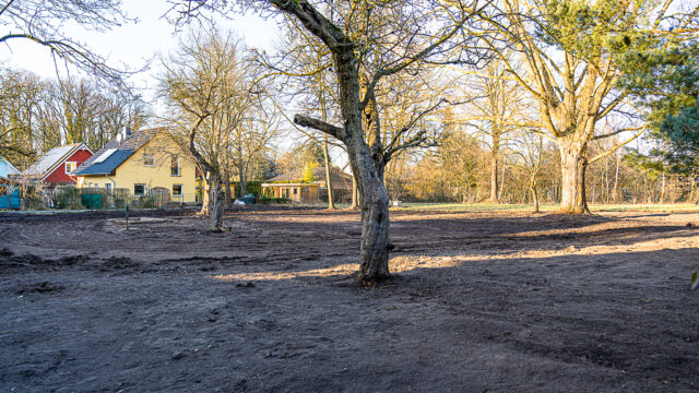 lencro_gartenbau_garten_teichgarten-19