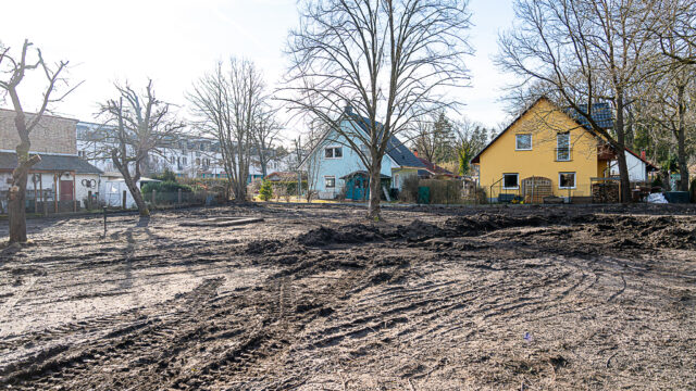 lencro_gartenbau_garten_teichgarten-20