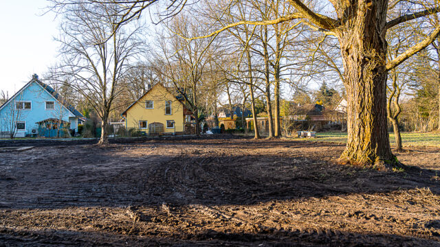 lencro_gartenbau_garten_teichgarten-21