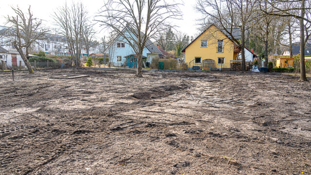 lencro_gartenbau_garten_teichgarten-8