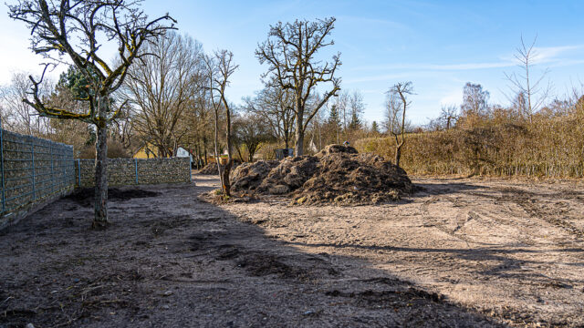 lencro_gartenbau_garten_teichgarten-9