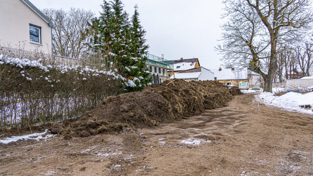 lencro_gartenbau_projekt_teichgarten-14