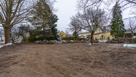 Projekt – Teichgarten (aktuelles Projekt)